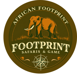 African Footprint