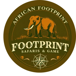 African Footprint